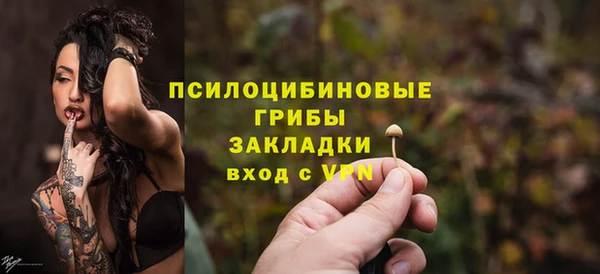 PSILOCYBIN Волоколамск