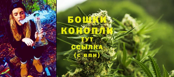 винт Протвино