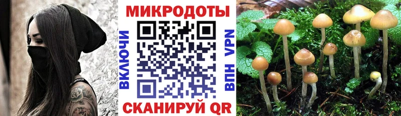 Псилоцибиновые грибы ЛСД где продают наркотики Электроугли